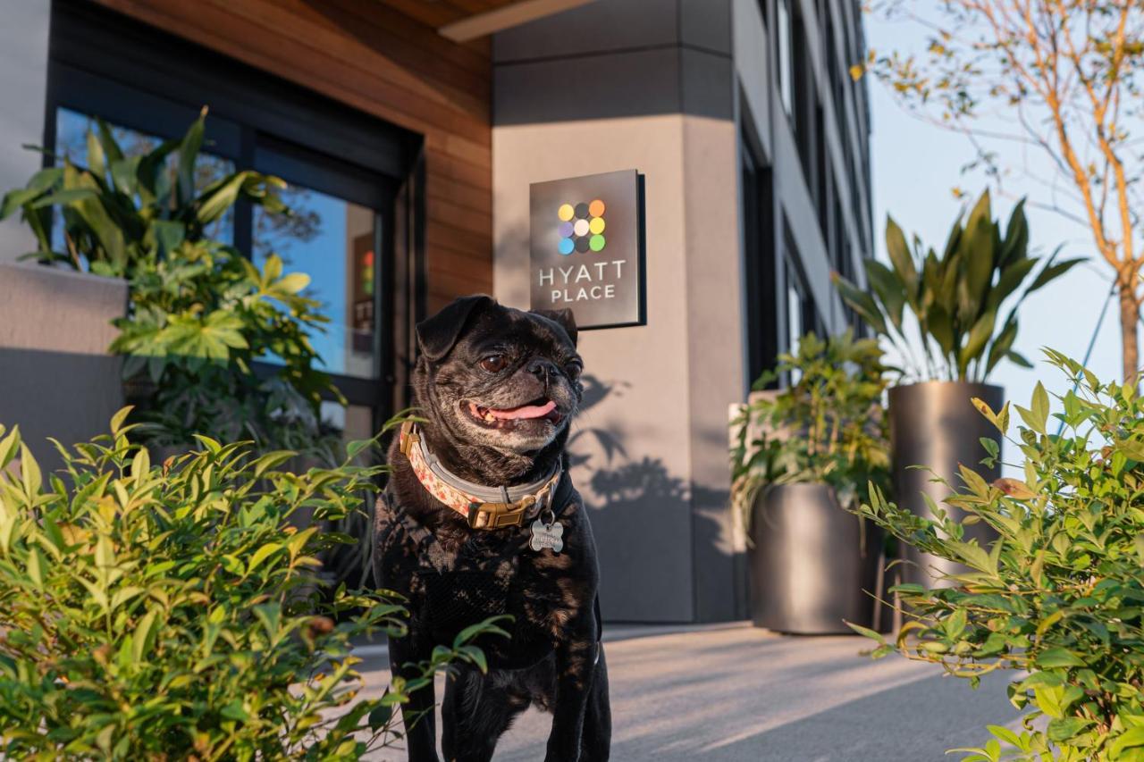 Hyatt Place Atlanta/Perimeter Center Sandy Springs Εξωτερικό φωτογραφία